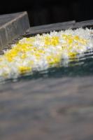 Doopdiens 01 Maart 2009