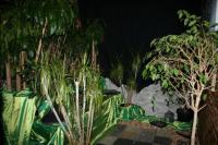 Kruisstasies 2009